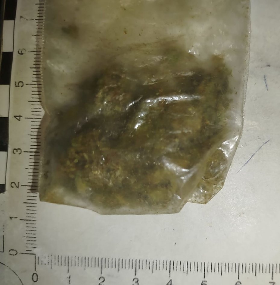 Marihuana ukryta w bielinie. Zatrzymanie na Bielanach