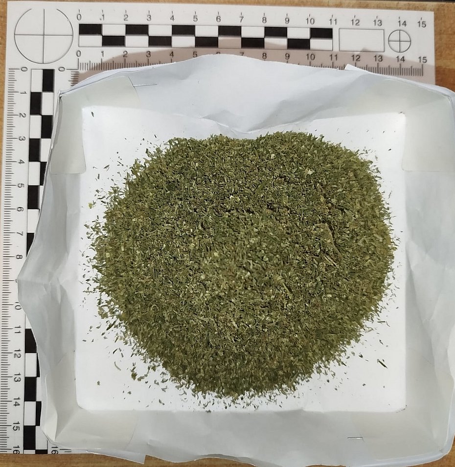 Policja znalaz�a marihuan� w mieszkaniu na Bielanach. 26-latek z zarzutami