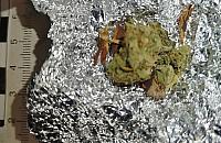 Pakunek na parapecie doprowadził policję do narkotyków