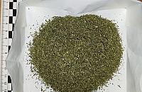 Policja znalazła marihuanę w mieszkaniu na Bielanach. 26-latek z zarzutami